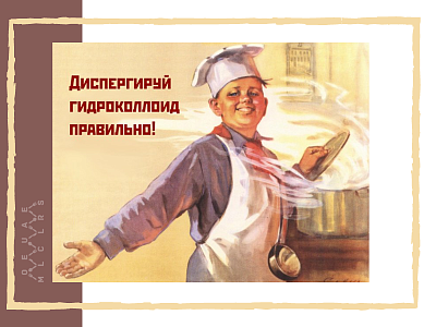 Статья о крахмалах в молекулярной кухне